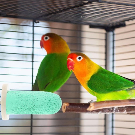 LOLIPPYY Light Green Pumice Perch Stand - Durable, Multi-Functional for Parrot and Small Pets