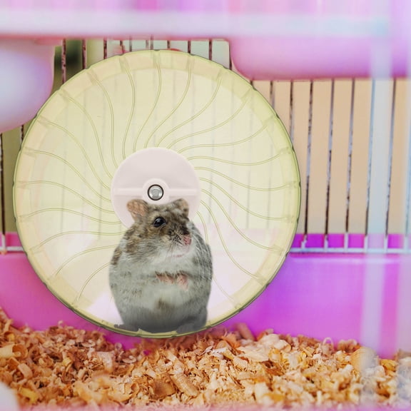 LOLIPPYY Light Green Silent Hamster Exercise Wheel Plastic Running Wheel for Squirrels and Small Pets