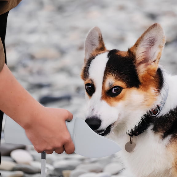 LOLIPPYY Light Grey Foldable Dog Water Bottle with Push Button Spout for Easy Pet Hydration Outdoors