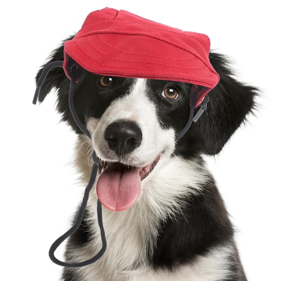 LOLIPPYY Little Dog Baseball Hat in Red Decorative Simple 1Pack
