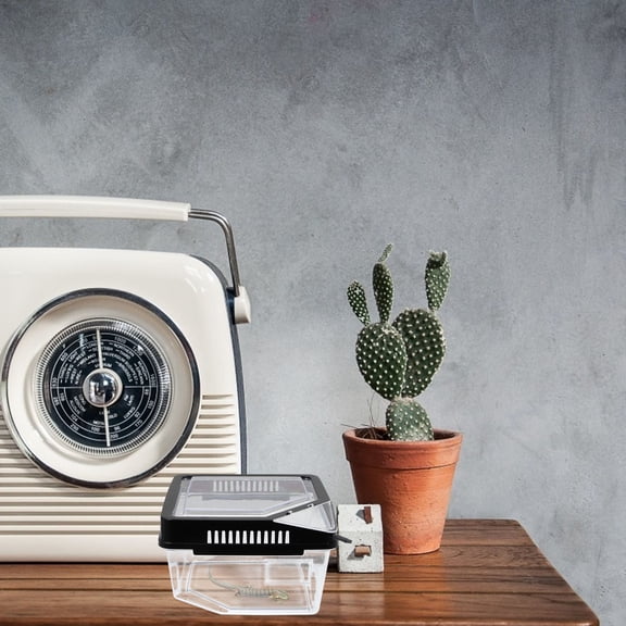 LOLIPPYY Medium Plastic Reptile Habitat Container with Ventilated Design for Comfortable and Safe Pet Breeding