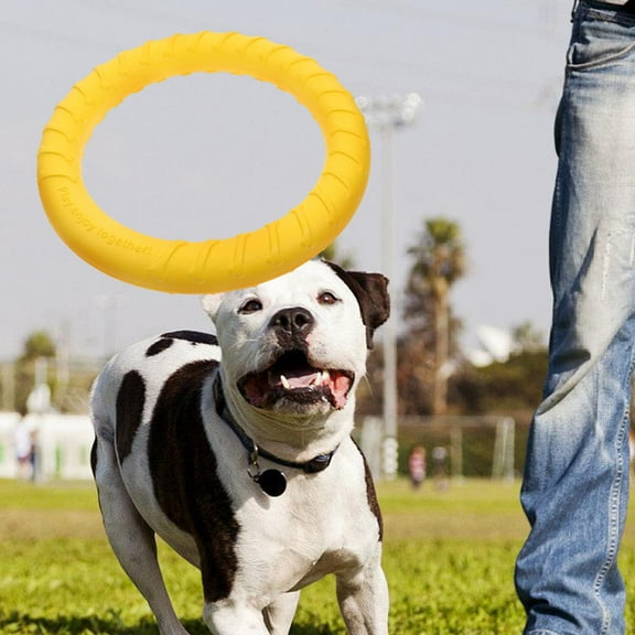 LOLIPPYY Medium to Large Dog Chew Ring with Durable Eva Material and High Visibility Yellow Color