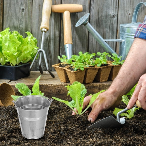 LOLIPPYY Small Metal Bucket with Handle, Iron Decorative Outdoor Pail for Garden, Home, Versatile Use, 1 Piece