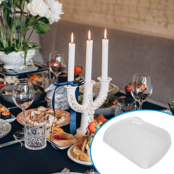 LOLIPPYY Metal Mesh Food Dome Cover for Kitchen Use Reusable Plate and Serving Dish Protector