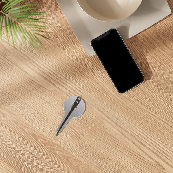 LOLIPPYY Mouth Musical Instrument National Jaw Harp Silver Metal 1Pack