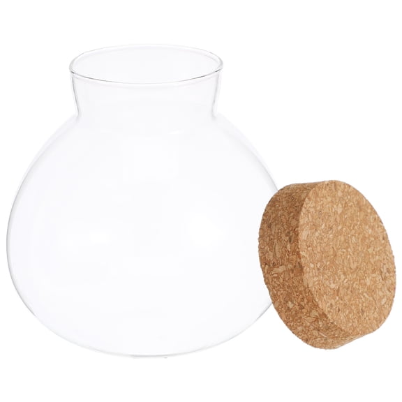 LOLIPPYY Multi-Purpose Glass Terrarium Container for DIY Moss Crafts and Elegant Desktop Display