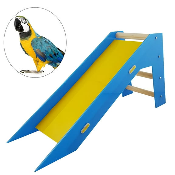 LOLIPPYY MultiColor Parrot Skill Training Slide Educational Toy for Birds Made of Acrylic and Wood 36.5 x 8.5 cm