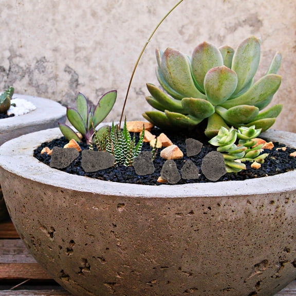 LOLIPPYY Natural Volcanic Stone Decoration for Aquarium and Floral Arrangement Dark Brown