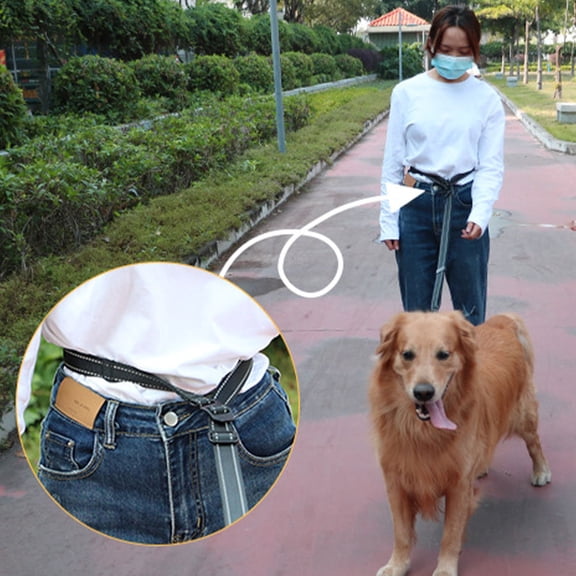 LOLIPPYY Outdoor Dog Rope Leash Nylon Black for Nighttime Walks 1Set