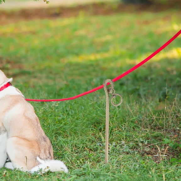 LOLIPPYY Outdoor Dog Tie Out Stake with Thickened Thread and Heavy Duty Rebar for Enhanced Ground Hold