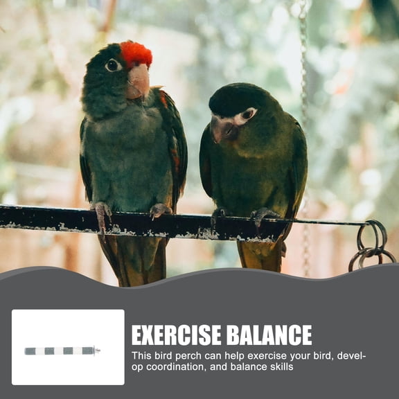 LOLIPPYY Parrot Perch Bird Stand Rod for Pet Birds with Easy Installation and Durable Material