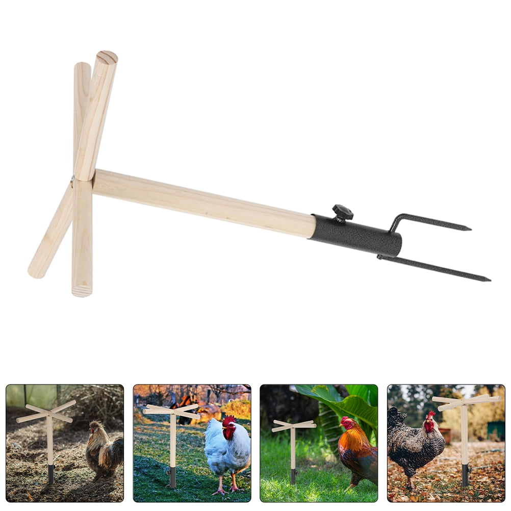 LOLIPPYY Parrot Standing Rack Wooden Perch For Birds In Khaki Color ...