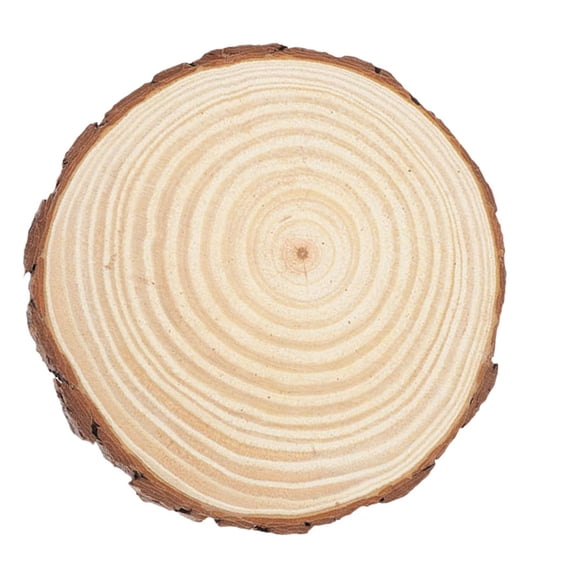 LOLIPPYY Outdoor Garden Pathway Set, Beige Wood Design, Decorative Yard Stones 1 Set