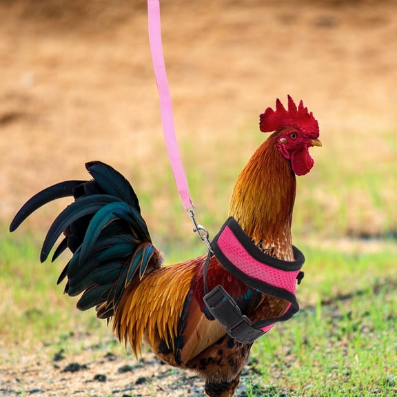 LOLIPPYY Pink Hen Harness with Leash for Pulling Pressure Distribution