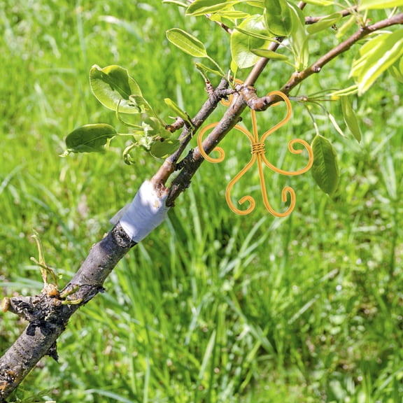 LOLIPPYY Plants Stem Support Plant Stem Support Golden Iron Climbing for Outdoor Growing 1Pack