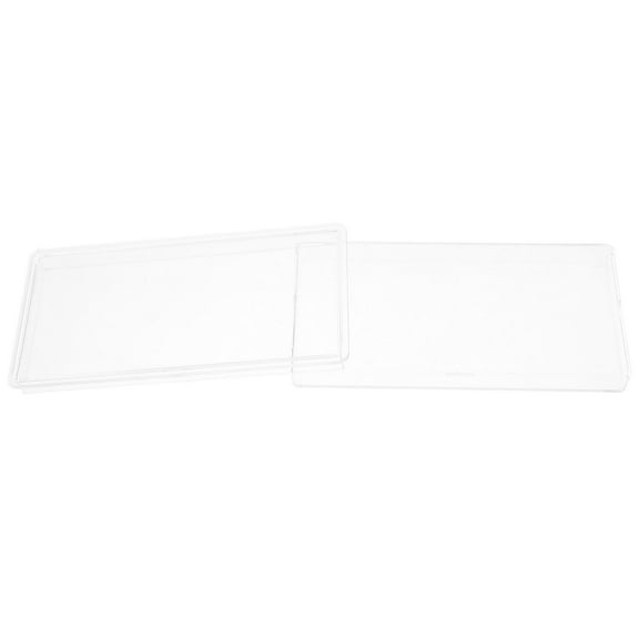 LOLIPPYY Plastic Currency Organizer Case for Paper Money Stamps and Banknotes Collector