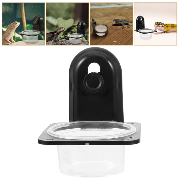 LOLIPPYY Plastic Reptile Food Basin Black Durable Gecko Feeder Bowl for Small Lizards with Easy Clean Surface
