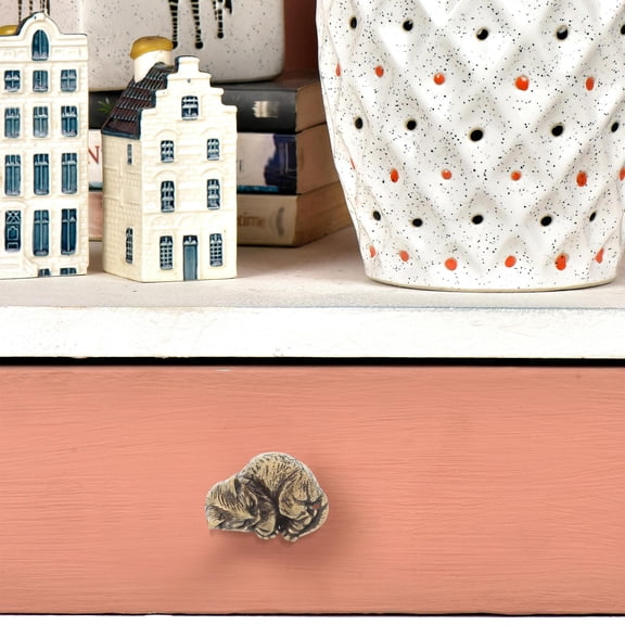 LOLIPPYY Plated Gold Brass Drawer Handles with Smooth Finish Unique Cat Design for Furniture