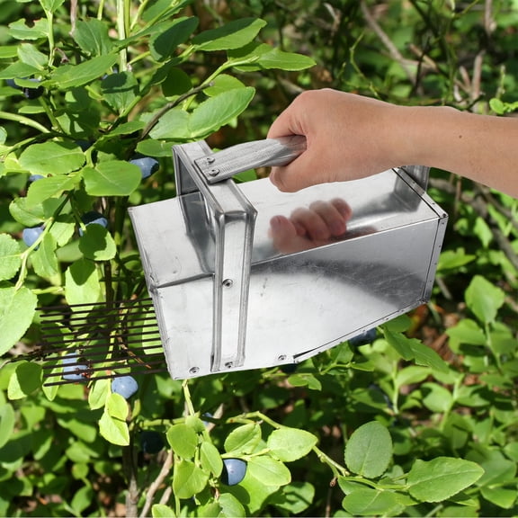 LOLIPPYY Plated Silver Berry Picker Rake with Comfortable Handle for Efficient Fruit Collecting