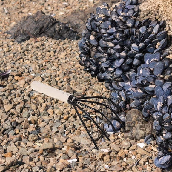LOLIPPYY Portable Hand Rake with Carbon Steel Claws and Comfortable Wooden Handle for Outdoor Shellfish Gathering