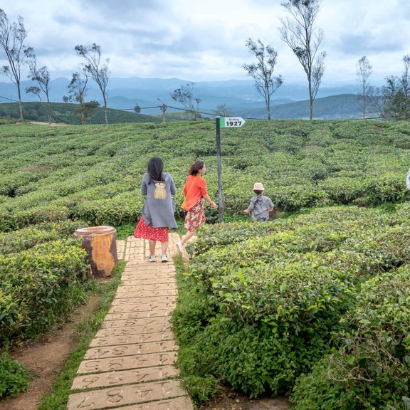 LOLIPPYY Portable Woven Tea Basket with Shoulder Rope for Storing Tea Leaves Candy and Small Items