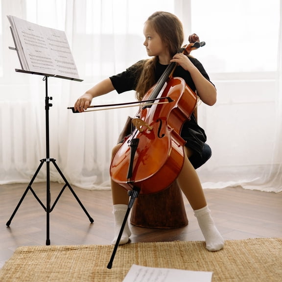 LOLIPPYY Premium Black Carbon Fiber Cello Tail Post Support Rod with Non Slip Base
