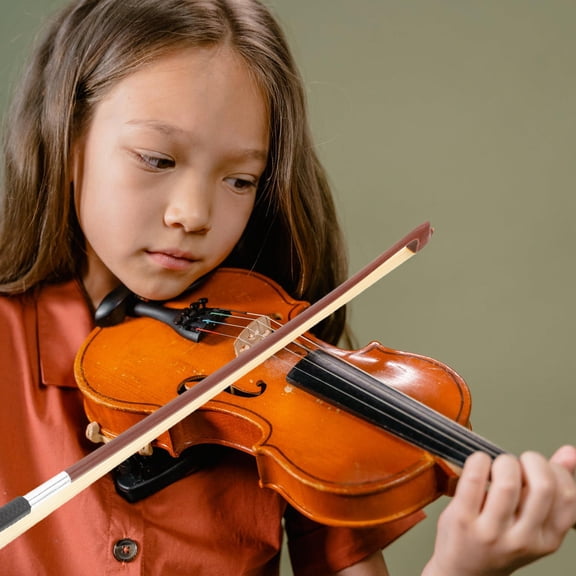LOLIPPYY Professional Wooden Violin Bow with Natural Horsetail Hair Well Balanced for Practice Use