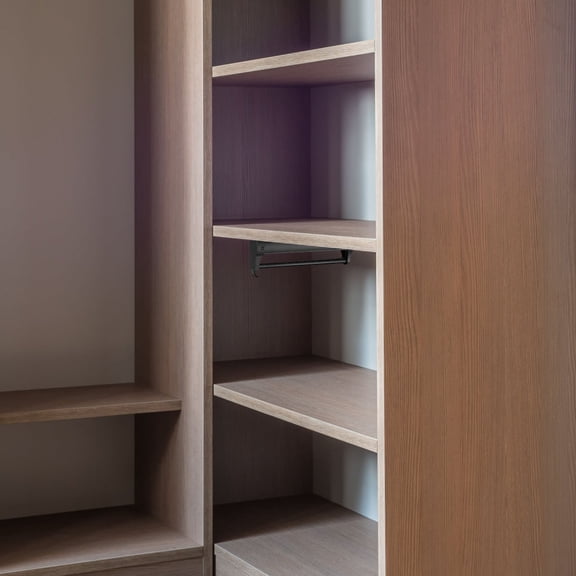 LOLIPPYY Black Aluminum Alloy Pull-Out Closet Rod with Convenient Handle, Easy to Install for Home Organization