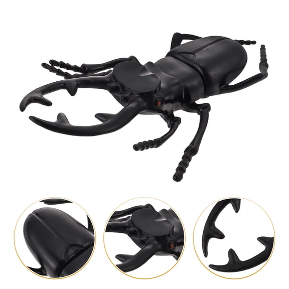LOLIPPYY Realistic Black Plastic Beetle Model for Desktop Decoration with Detailed Design and Build