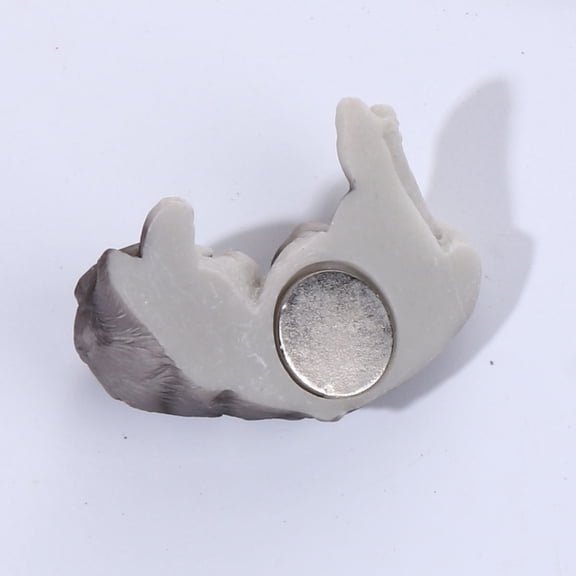 LOLIPPYY Refrigerator Magnets Cute Decorative for Kitchen Use Dark Grey 1Pcs