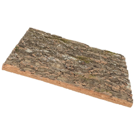 LOLIPPYY Reptile Bark Background Natural Cork Reptile Hide Golden 1Pcs
