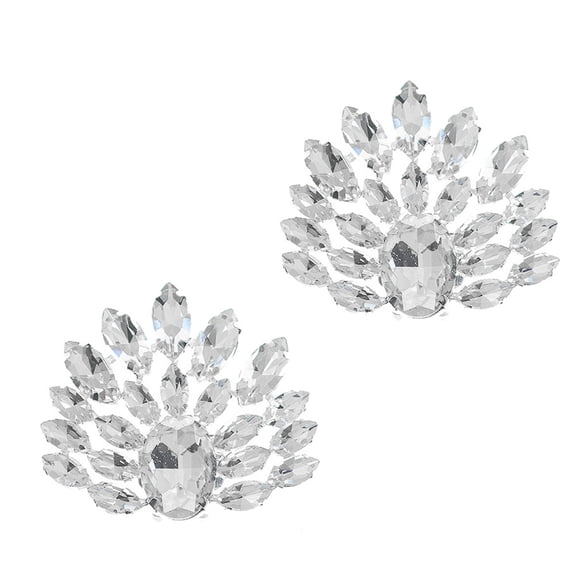 LOLIPPYY Rhinestone Shoe Jewelry Clips for High Heel Decoration, Bridal Charms and Stylish Accessories for Everyday Wear