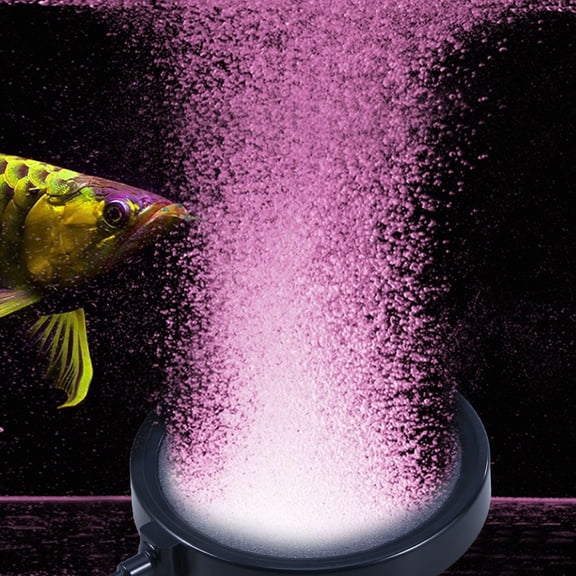 LOLIPPYY Round Aquarium Bubble Stone Aerator Oxygen Pump Black High Temperature Sintering Durable Air Stone