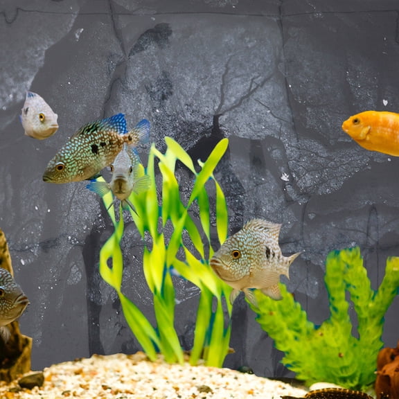 LOLIPPYY Safe and Easy to Apply Aquarium Background Cling Black Fish Tank Decoration
