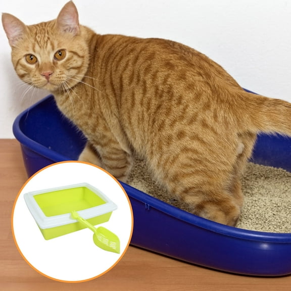 LOLIPPYY Small Indoor Cat Litter Box in Light Green ABS Material with Scoop - 1 Pack