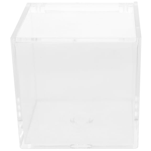 LOLIPPYY Small Display Box for Figurines Acrylic Transparent Modern Touch 1Pcs