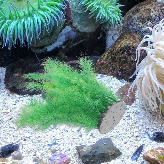LOLIPPYY Small Fish Tank Decorations Artificial Plants Plastic Aquarium Accessories Safe for Pets
