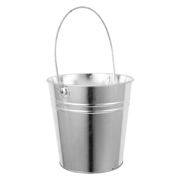 LOLIPPYY Small Tin Buckets Iron Flower Pot for Garden Decor Silver 1Set