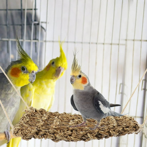 LOLIPPYY Soft Reptile Lizard Hammock Hammock for Bearded Dragon 1Pack