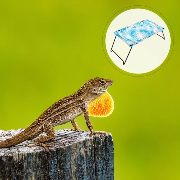 LOLIPPYY Soft Reptile Lizard Hammock Iron Frame Cotton Rope Climbing Indoor Pet Environment 1Pack