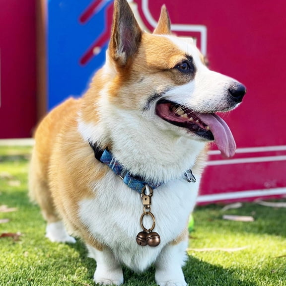 LOLIPPYY Dog Collar Sound Indicator Bell Key Chain, 1 Pack for Pet Safety and Training