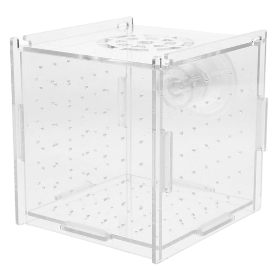 LOLIPPYY Acrylic Fish Breeding Cage for Aquarium, Clear Hatchery Incubator with Easy Setup and Design
