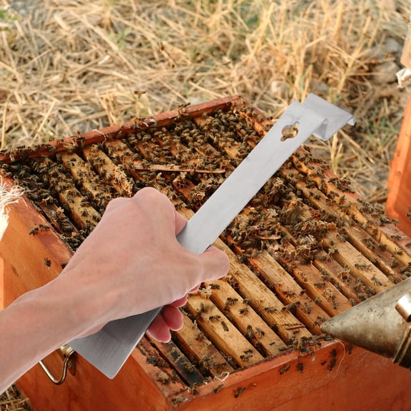 LOLIPPYY Stainless Steel Beehive Scraper Tool with Curved Head for Effective Beeswax and Propolis Removal