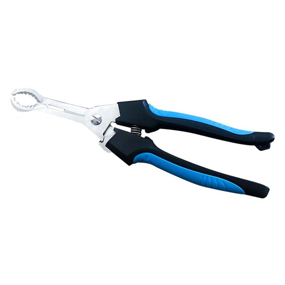 LOLIPPYY Stainless Steel Fruit Pitter Kitchen Tool for Home Use with Comfortable Handle and Blue Color