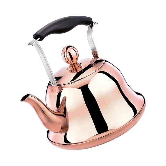 LOLIPPYY Stainless Steel Whistling Tea Kettle with Handle, Golden Color, Home Kitchen Pot