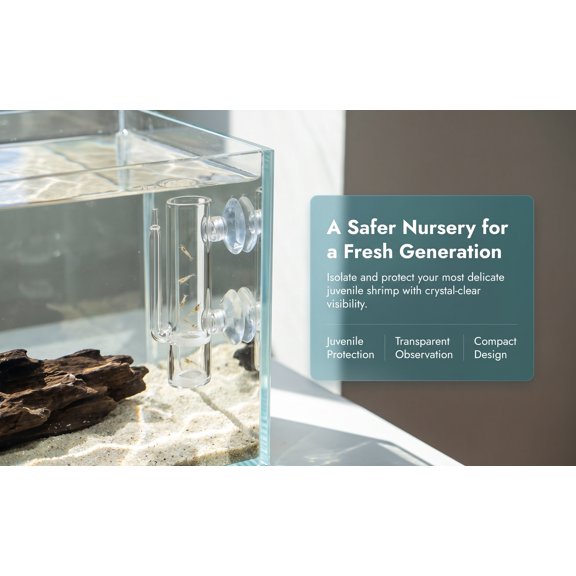 LOLIPPYY Suction Cup Glass Isolation Container Fish Shrimp Hatchery Incubator