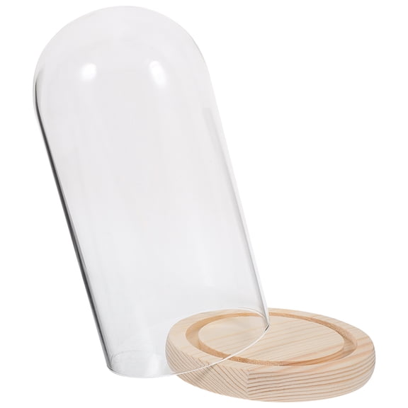 LOLIPPYY Clear Glass Dome Display Cover for Preserved Roses, Decorative Flower Protector, Elegant Floral Showcase