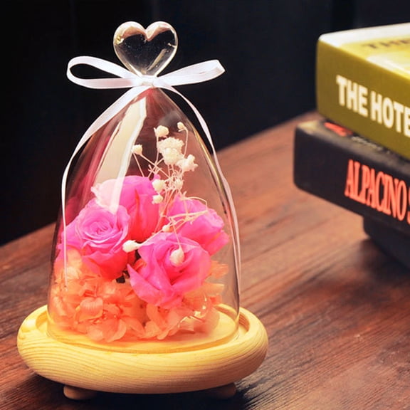 LOLIPPYY Transparent Glass Dome with Wooden Base Featuring Top Handle for Easy Access