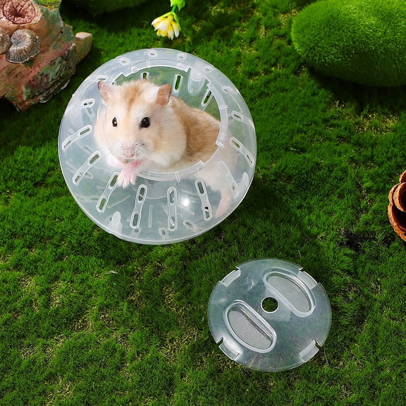 LOLIPPYY Transparent Mini Lizard Exercise for Hamsters and Small Pets, Portable Plastic Toy, 2 Pieces for Active Fun