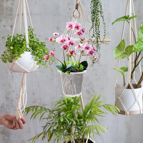 LOLIPPYY Transparent Orchid Planter with Clear Design for Phalaenopsis Indoor Plants in PP Material